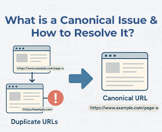 What is a Canonical Issue and How to Resolve It?