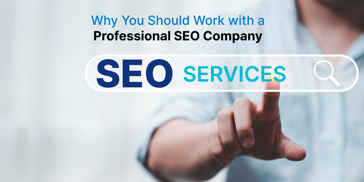 professional seo service