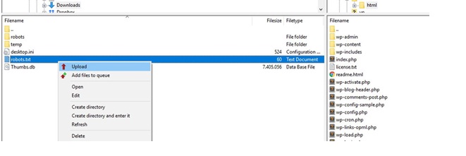 setup robots.txt through ftp step 5