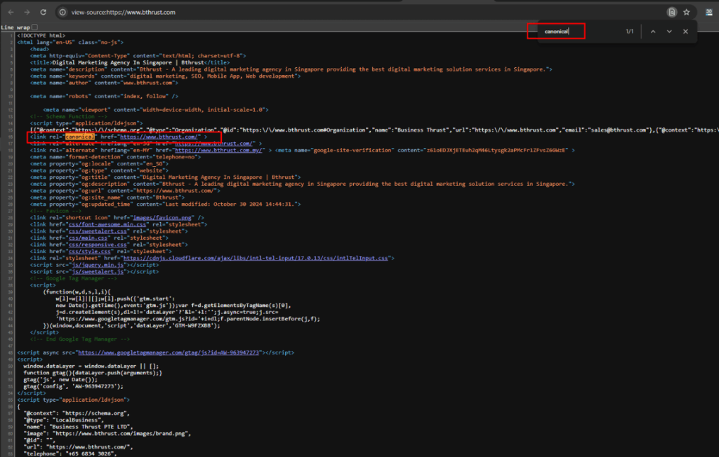 Canonical tag SEO