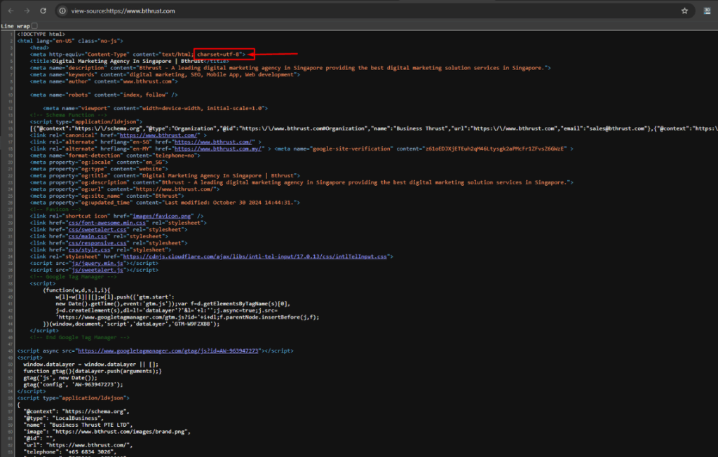 Charset website example