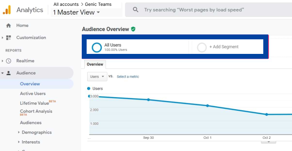 Customer segments data