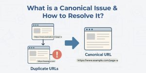 What is a Canonical Issue and How to Resolve It?