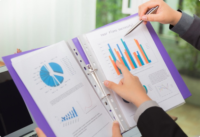 Robust Reports