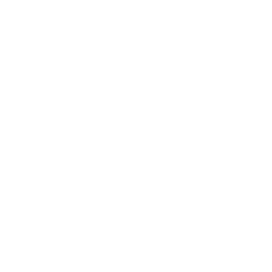 A1 SEO W