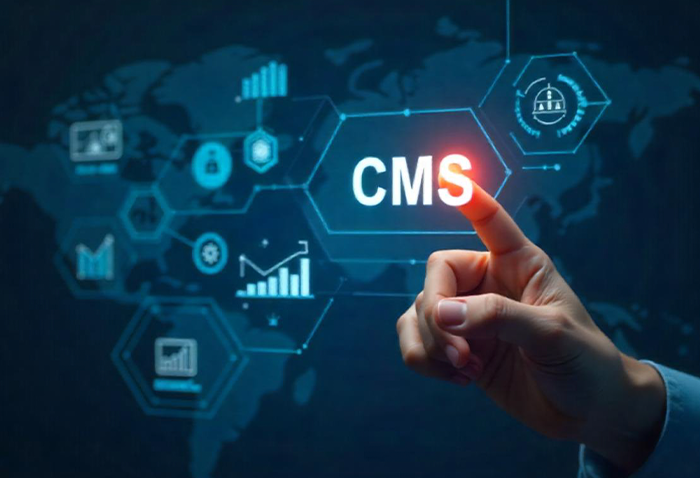 Content Management System