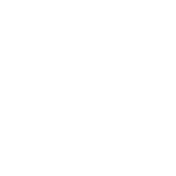 Document Management W