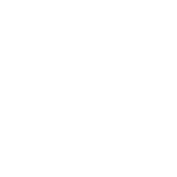 E-commerce SEO W