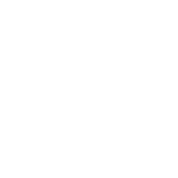 Google Ads W