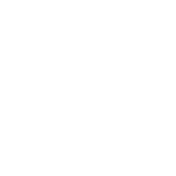 Link Building W