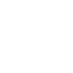 Local SEO W