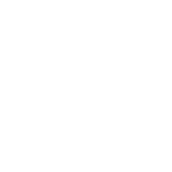 Mobile App Development W