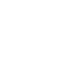 Reputation Management W