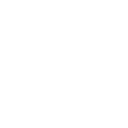 Shopify SEO W