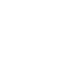 Software Development W