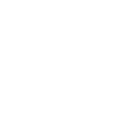 Technical SEO W