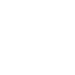 Website Design W