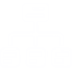 Schema & Structured Data