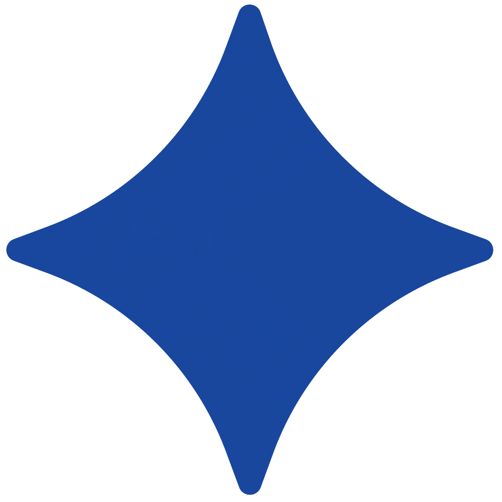 gemini-seo b