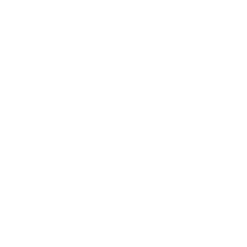 gemini-seo w