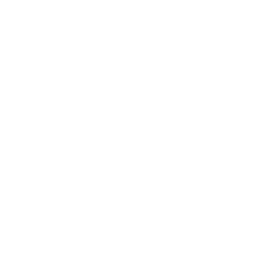Perplexity White